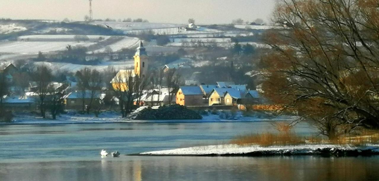 Danube Fairy Villa Futog Exterior photo