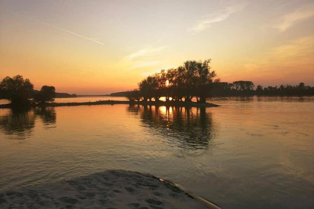 Danube Fairy Villa Futog Exterior photo